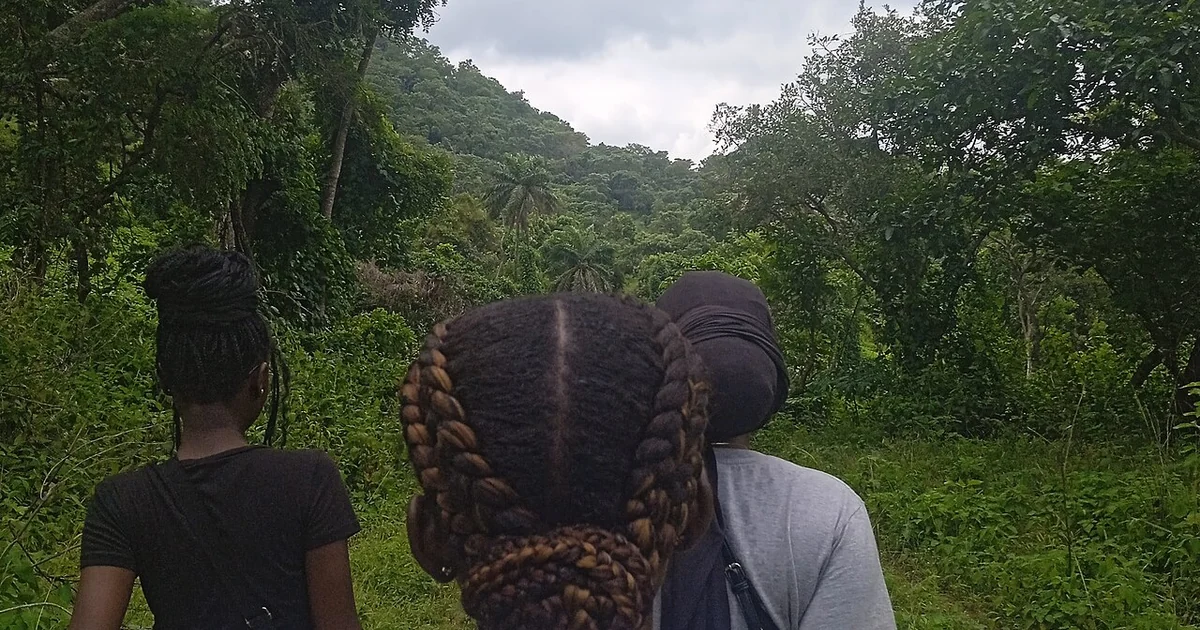 Exploring the lush tropical landscape