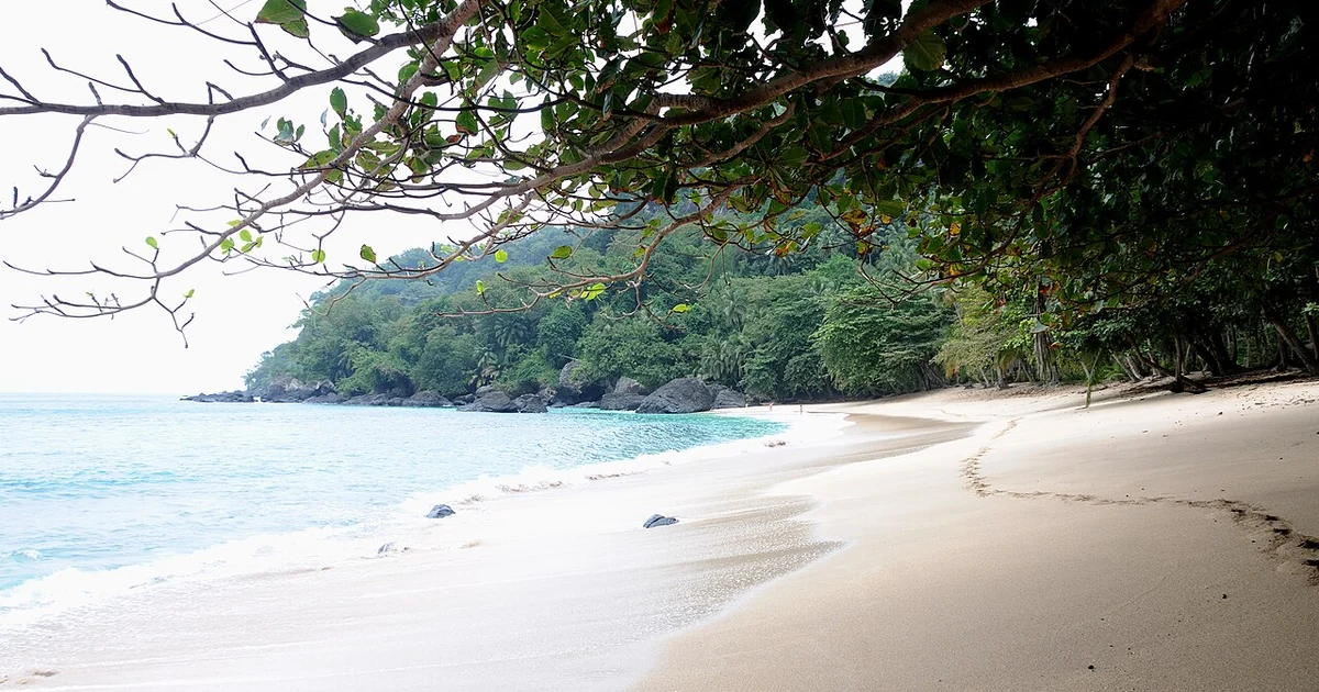 View of Praia Banana framed by tropical vegetation.