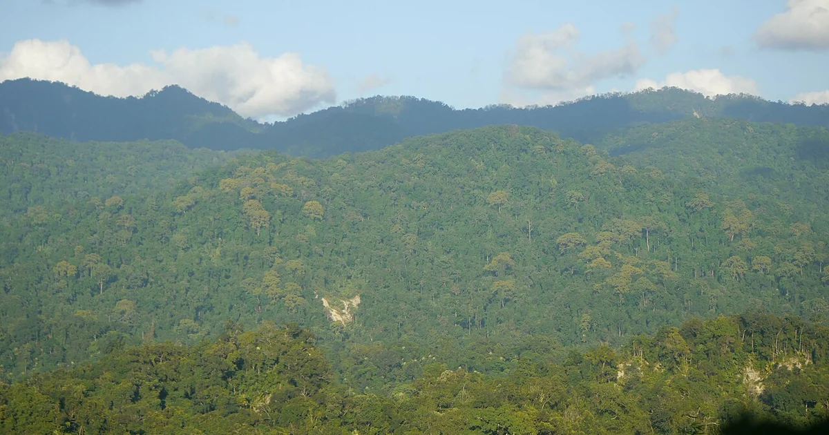 Photo taken at Pakke Tiger Reserve, Arunachal Pradesh, India